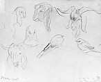 Syrian Goats and Bird, John Singer Sargent (American, Florence 1856–1925 London), Graphite on off-white wove paper, American